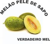 Melão Pele De Sapo Giant - Doce Como Mel - Verdadeiro -