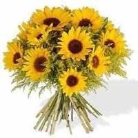 30 Sementes De Girasol Anão De Jardim - 3 Tipos Diferentes-