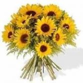 30 Sementes De Girasol  Anão De Jardim - 3 Tipos Diferentes-