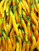 50 Sementes De Pimenta Dedo De Moça Amarela , Raridade