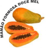 Sementes De Mamão Formosa Gigante Poupa Vermelha Doce Mel