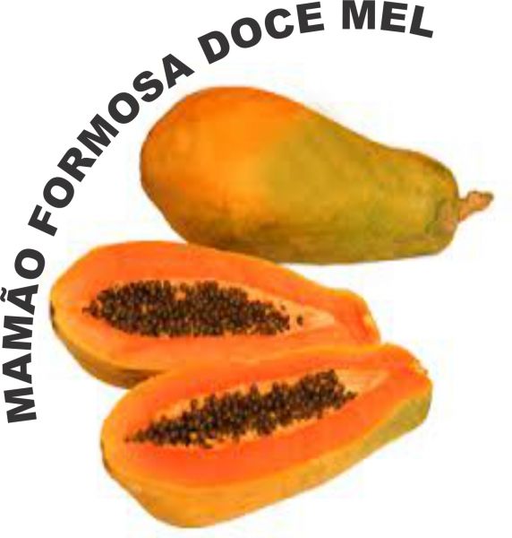 Sementes De Mamão Formosa Gigante Poupa Vermelha Doce Mel