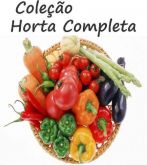 Coleção Horta Completa -850 Sementes- 35 Variedades + Brinde
